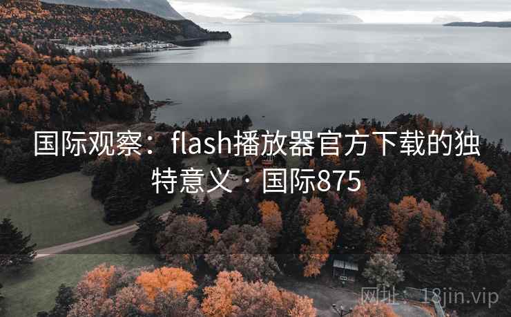 国际观察：flash播放器官方下载的独特意义 · 国际875  第2张