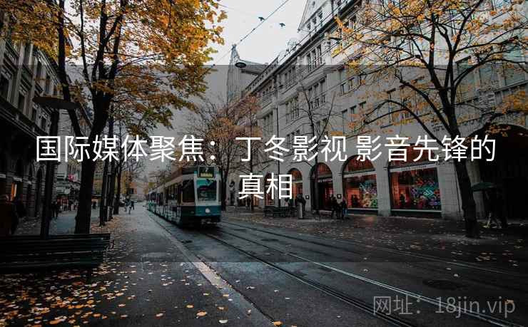 国际媒体聚焦：丁冬影视 影音先锋的真相  第2张