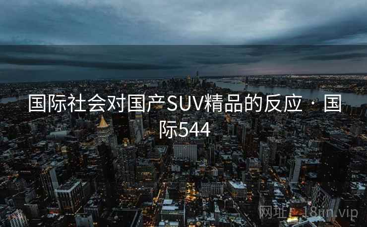 国际社会对国产SUV精品的反应 · 国际544  第1张