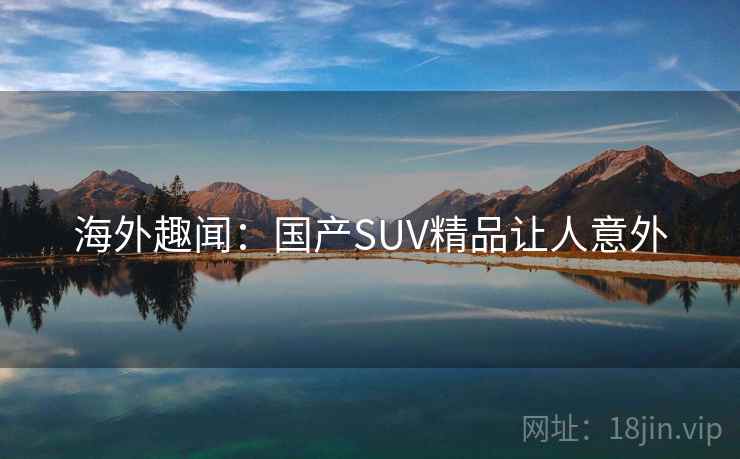 海外趣闻：国产SUV精品让人意外  第2张