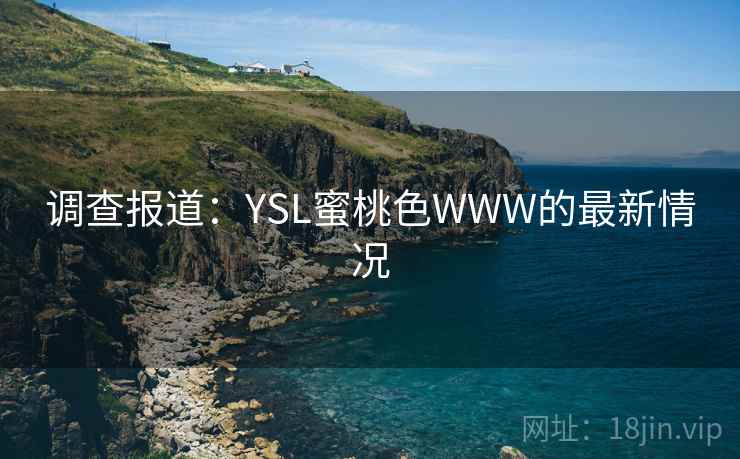 调查报道：YSL蜜桃色WWW的最新情况  第2张